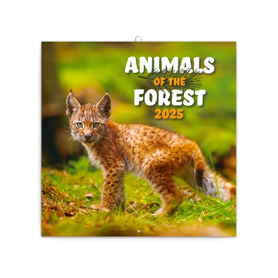 Falinaptár képes lemeznaptár 300x300mm, Endangered Animals Realsystem 2026.