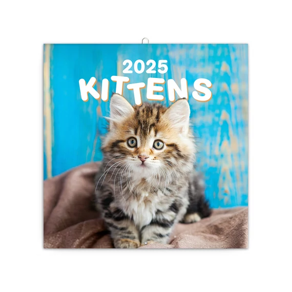 Falinaptár képes lemeznaptár 300x300mm, Kittens Realsystem 2026.