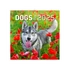 Kép 1/2 - Falinaptár képes lemeznaptár 300x300mm, Dogs Realsystem 2026.